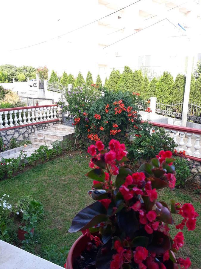 Alvanita Apartments อุลซิน ภายนอก รูปภาพ