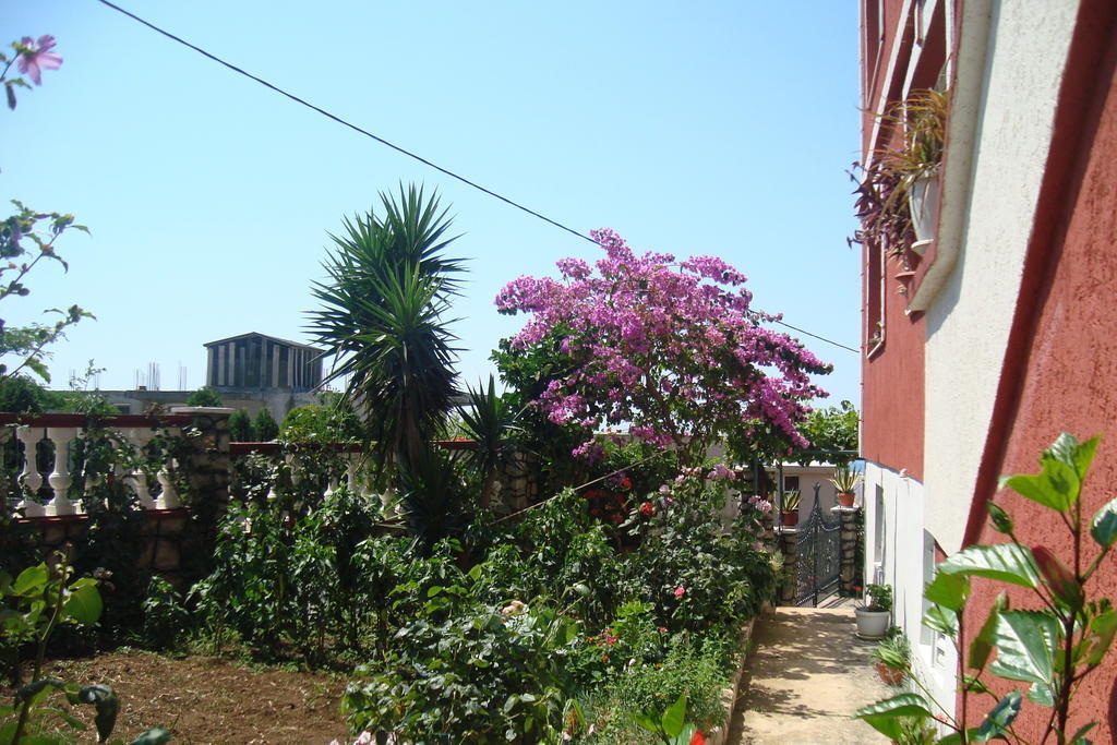 Alvanita Apartments อุลซิน ภายนอก รูปภาพ